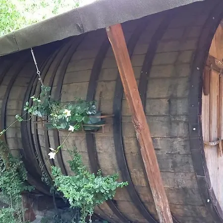 Luxe tent Terrebio